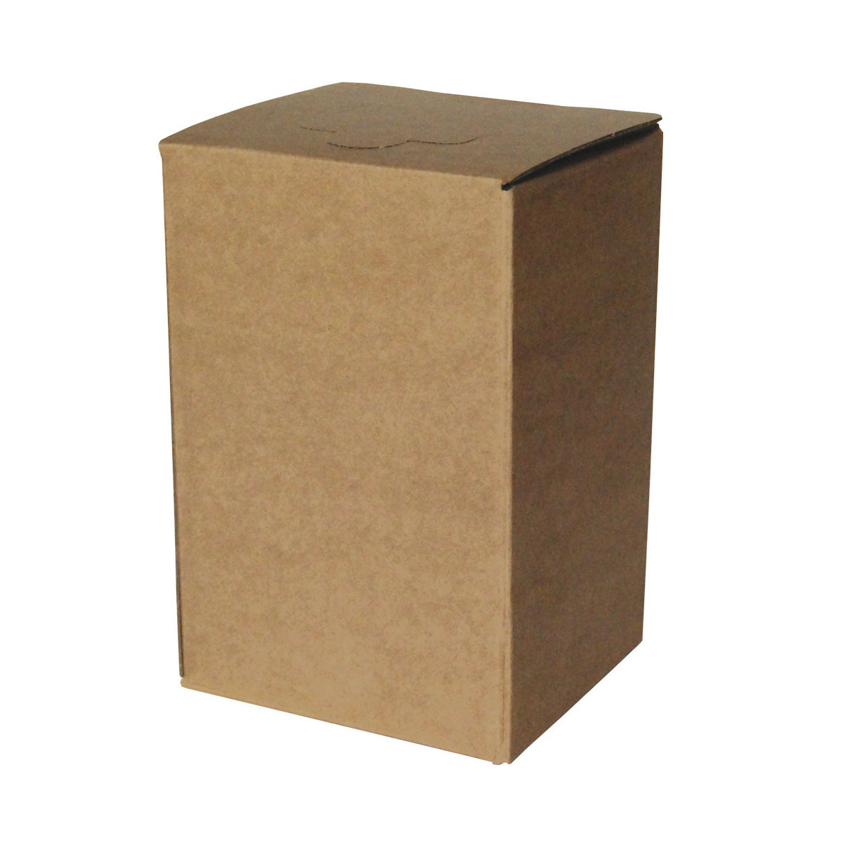 Box BROWN for BAG in BOX 3 l 0