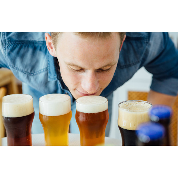 Workshop recognising brewing errors