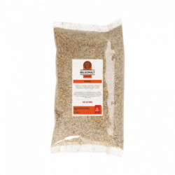 Belgomalt Vienna 10 - 12 EBC 1 kg